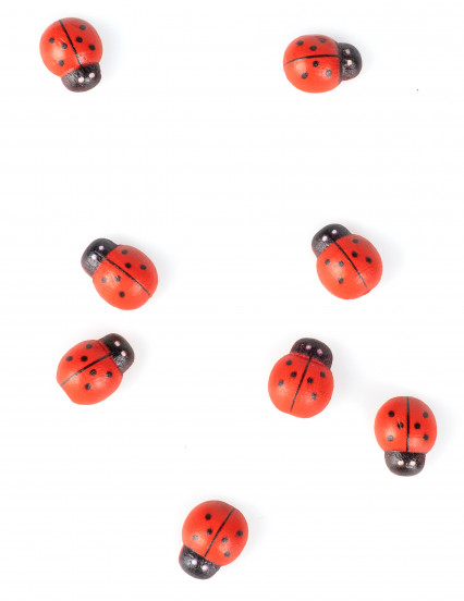 10 Rood en zwart houten lieveheersbeestjes 1;5 cm 10 Rood en zwart houten lieveheersbeestjes 1;5 cm