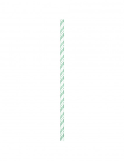 24 Flexibele mintgroene kartonnen rietjes 19;7 cm 24 Flexibele mintgroene kartonnen rietjes 19;7 cm